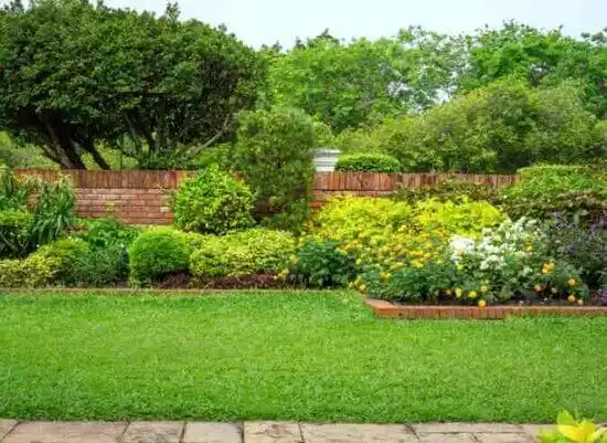 landscaping services San Fidel